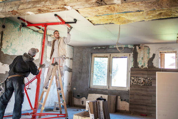 Best Cellulose Insulation in Bessemer, AL